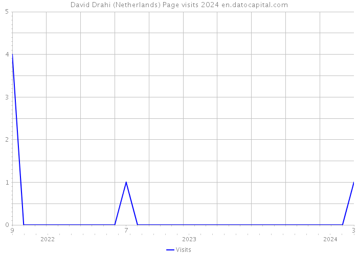 David Drahi (Netherlands) Page visits 2024 