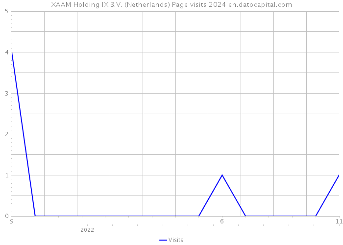 XAAM Holding IX B.V. (Netherlands) Page visits 2024 