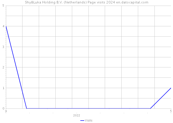 Shy&Luka Holding B.V. (Netherlands) Page visits 2024 