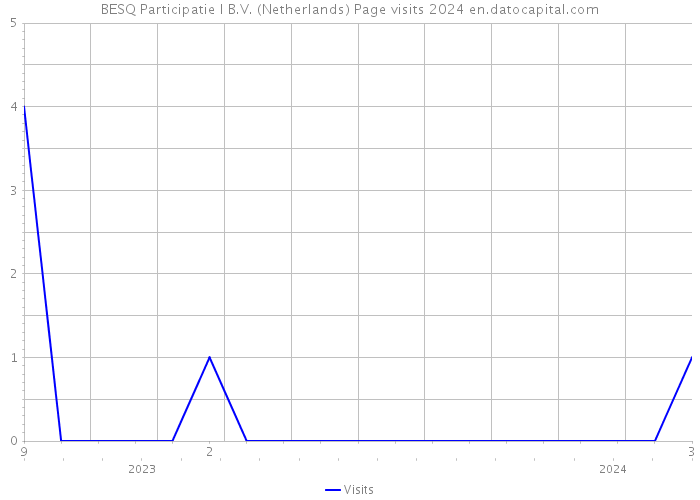 BESQ Participatie I B.V. (Netherlands) Page visits 2024 