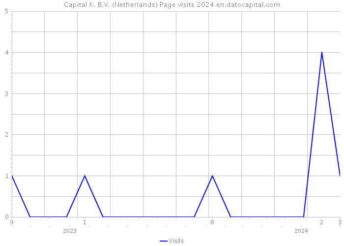 Capital K. B.V. (Netherlands) Page visits 2024 