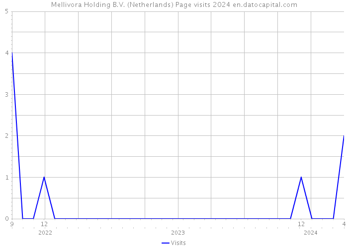 Mellivora Holding B.V. (Netherlands) Page visits 2024 