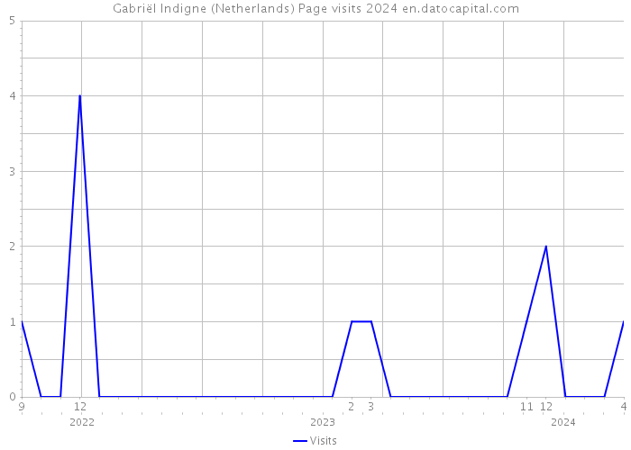 Gabriël Indigne (Netherlands) Page visits 2024 