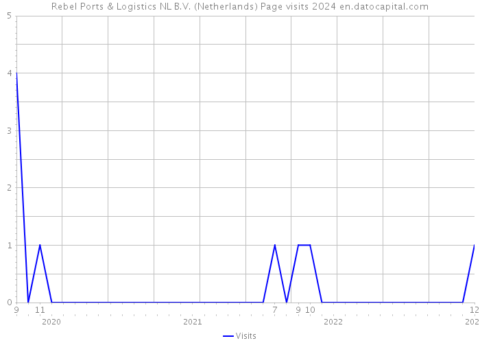 Rebel Ports & Logistics NL B.V. (Netherlands) Page visits 2024 