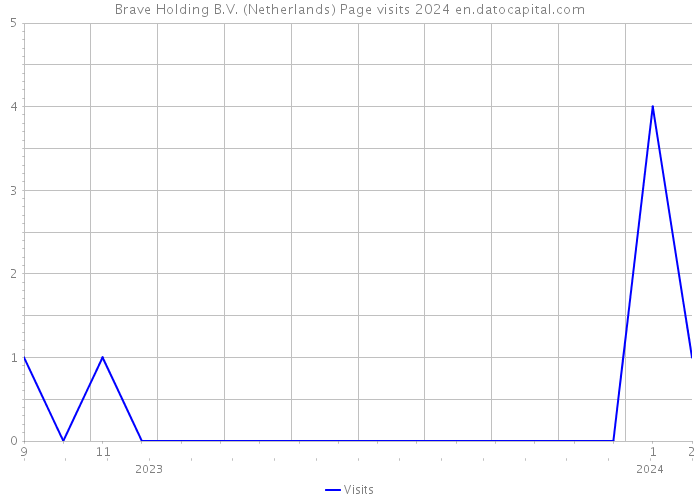 Brave Holding B.V. (Netherlands) Page visits 2024 