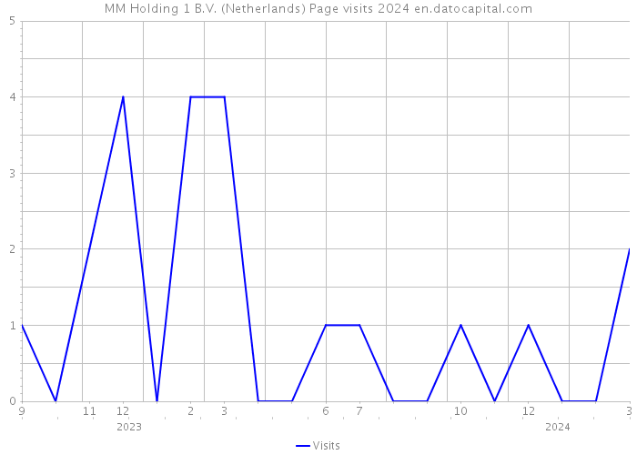 MM Holding 1 B.V. (Netherlands) Page visits 2024 