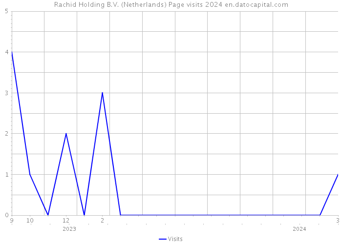 Rachid Holding B.V. (Netherlands) Page visits 2024 
