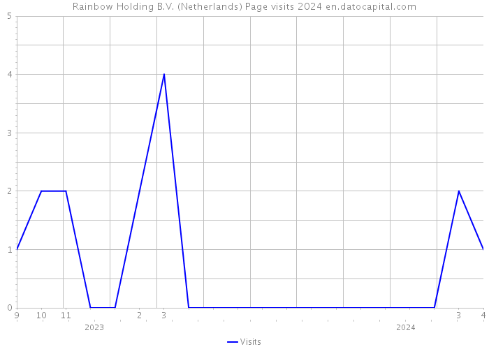 Rainbow Holding B.V. (Netherlands) Page visits 2024 