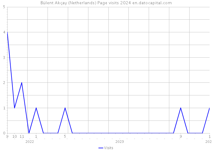 Bülent Akçay (Netherlands) Page visits 2024 