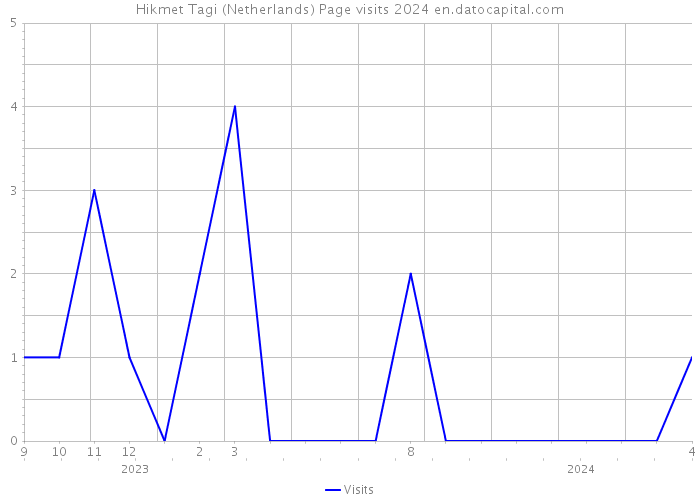 Hikmet Tagi (Netherlands) Page visits 2024 