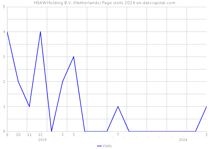 HSAW Holding B.V. (Netherlands) Page visits 2024 