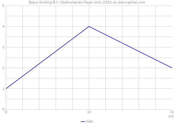 Bupa Holding B.V. (Netherlands) Page visits 2024 