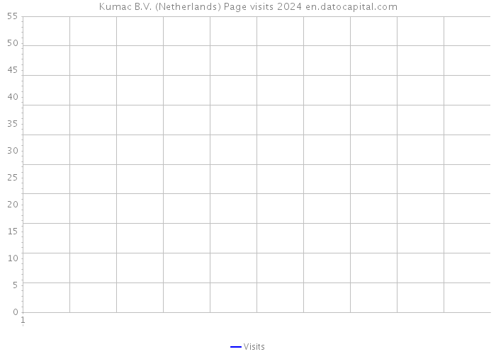 Kumac B.V. (Netherlands) Page visits 2024 