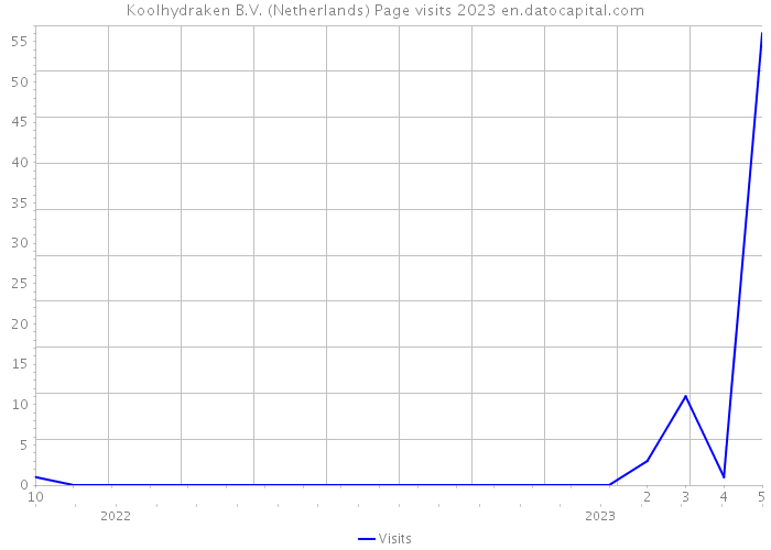 Koolhydraken B.V. (Netherlands) Page visits 2023 