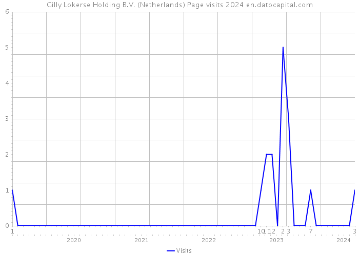 Gilly Lokerse Holding B.V. (Netherlands) Page visits 2024 
