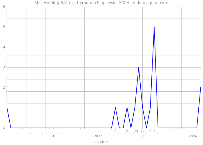 Mes Holding B.V. (Netherlands) Page visits 2024 