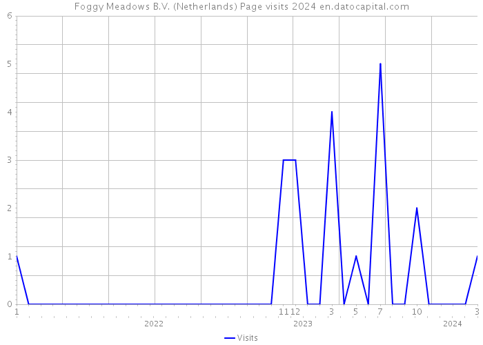 Foggy Meadows B.V. (Netherlands) Page visits 2024 