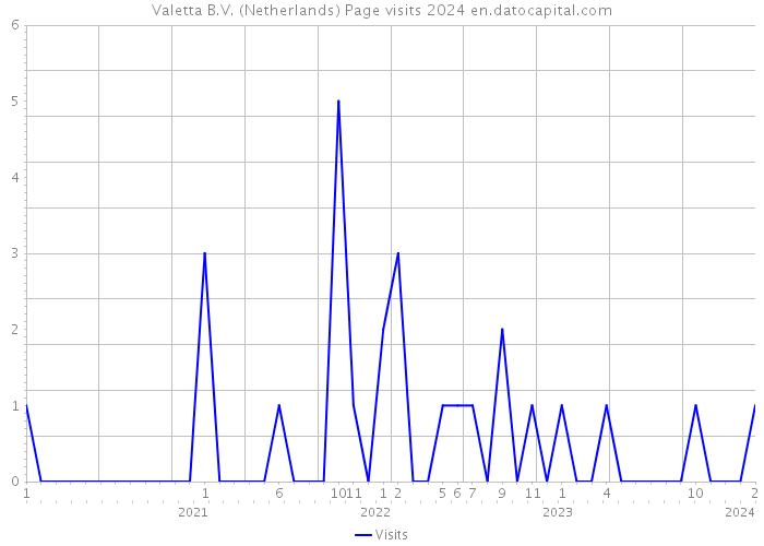 Valetta B.V. (Netherlands) Page visits 2024 