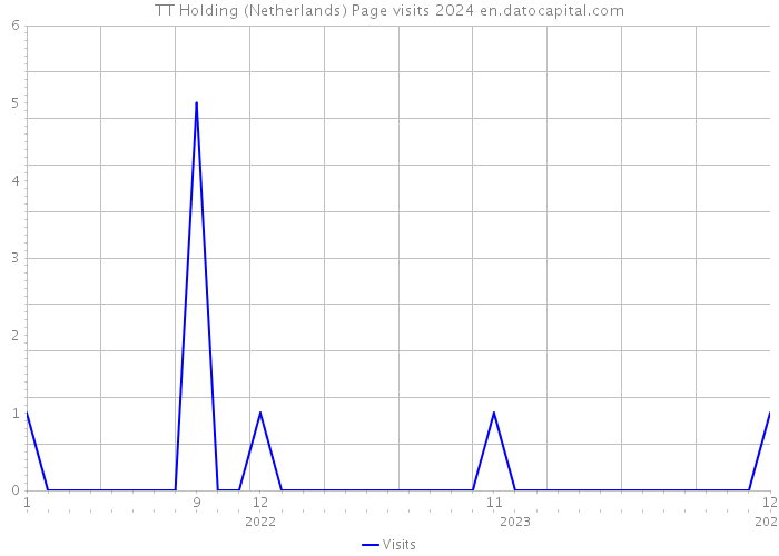 TT Holding (Netherlands) Page visits 2024 