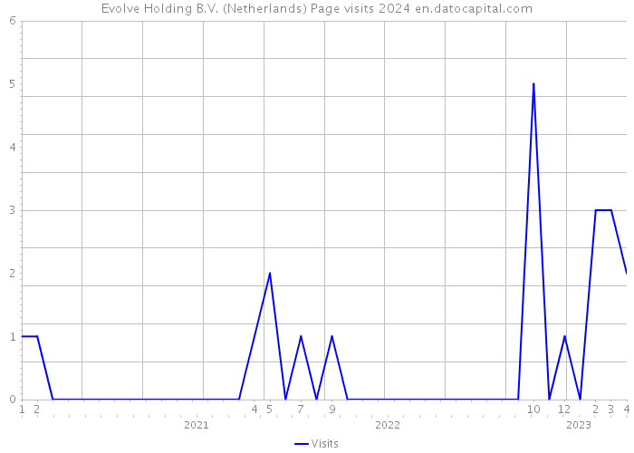 Evolve Holding B.V. (Netherlands) Page visits 2024 