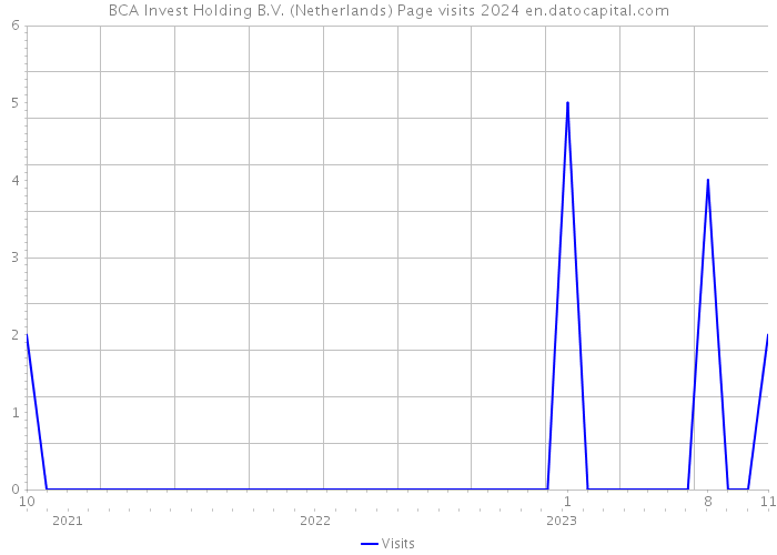 BCA Invest Holding B.V. (Netherlands) Page visits 2024 