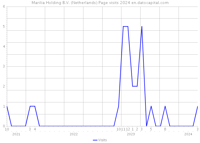 Marilia Holding B.V. (Netherlands) Page visits 2024 