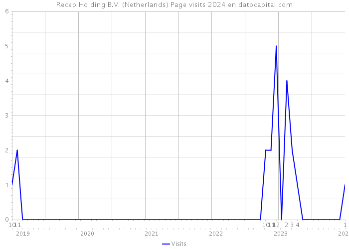 Recep Holding B.V. (Netherlands) Page visits 2024 