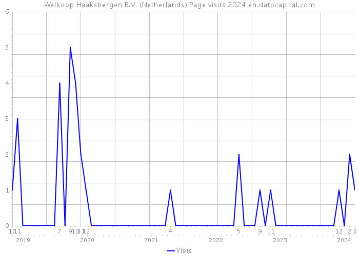 Welkoop Haaksbergen B.V. (Netherlands) Page visits 2024 