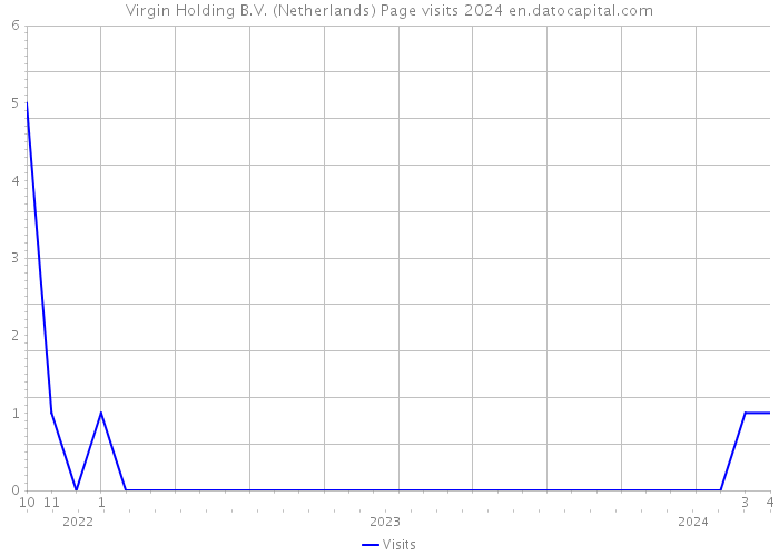Virgin Holding B.V. (Netherlands) Page visits 2024 
