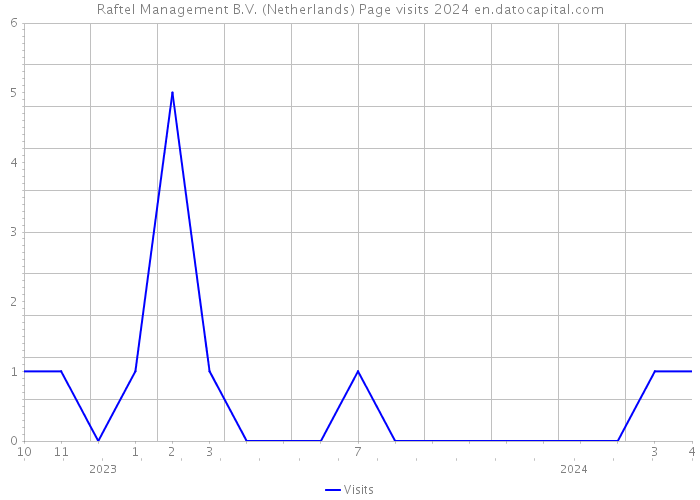 Raftel Management B.V. (Netherlands) Page visits 2024 