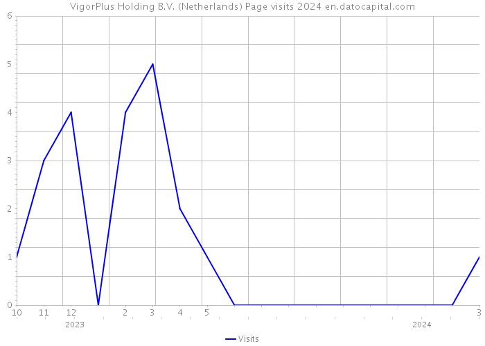 VigorPlus Holding B.V. (Netherlands) Page visits 2024 