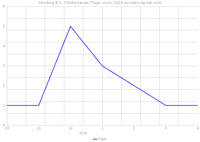 Holding B.V. (Netherlands) Page visits 2024 