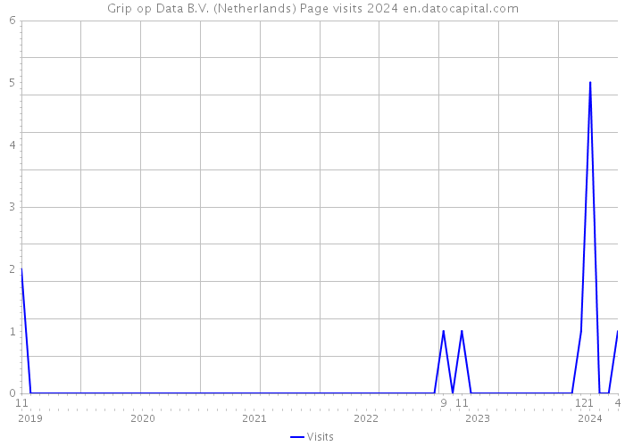 Grip op Data B.V. (Netherlands) Page visits 2024 