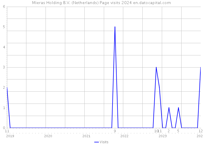 Mieras Holding B.V. (Netherlands) Page visits 2024 