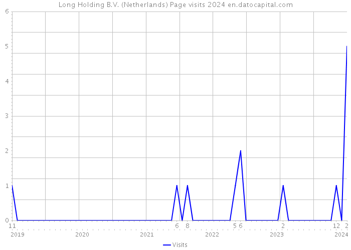 Long Holding B.V. (Netherlands) Page visits 2024 