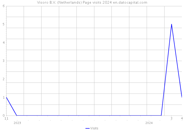 Visoro B.V. (Netherlands) Page visits 2024 