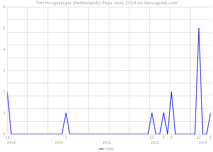 Tim Hoogesteger (Netherlands) Page visits 2024 