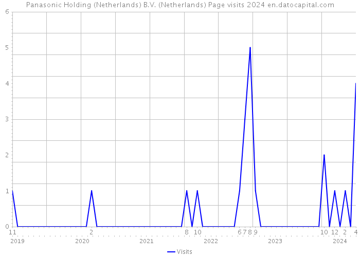 Panasonic Holding (Netherlands) B.V. (Netherlands) Page visits 2024 