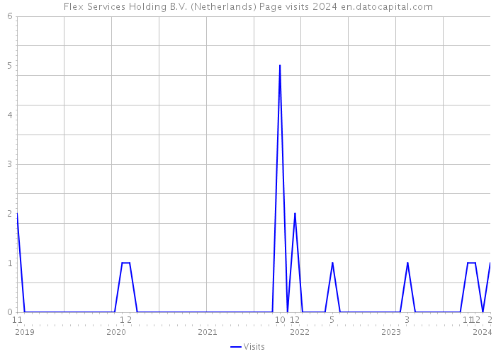 Flex Services Holding B.V. (Netherlands) Page visits 2024 
