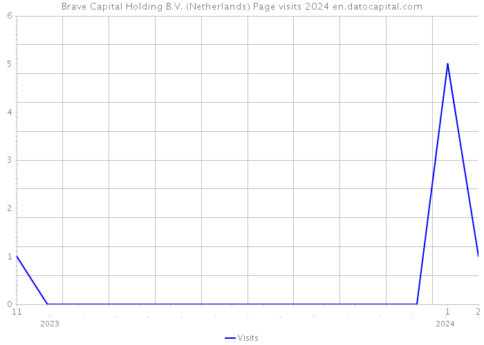 Brave Capital Holding B.V. (Netherlands) Page visits 2024 