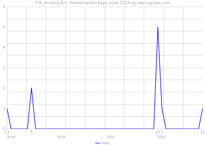 T.B. Holding B.V. (Netherlands) Page visits 2024 