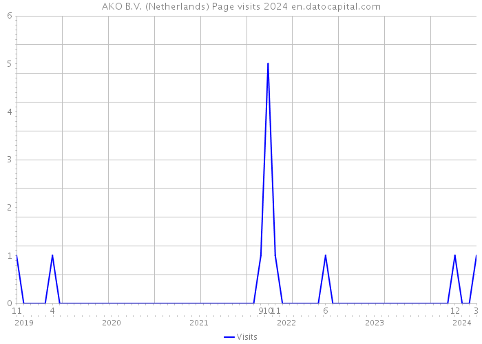 AKO B.V. (Netherlands) Page visits 2024 