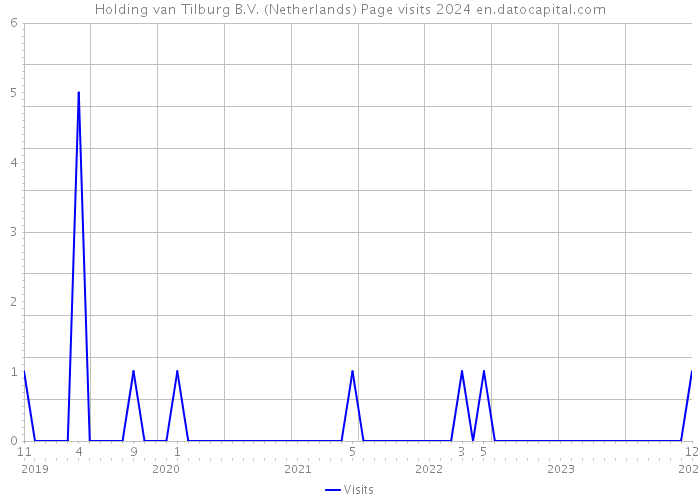 Holding van Tilburg B.V. (Netherlands) Page visits 2024 