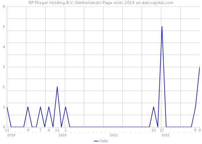 RP Plieger Holding B.V. (Netherlands) Page visits 2024 