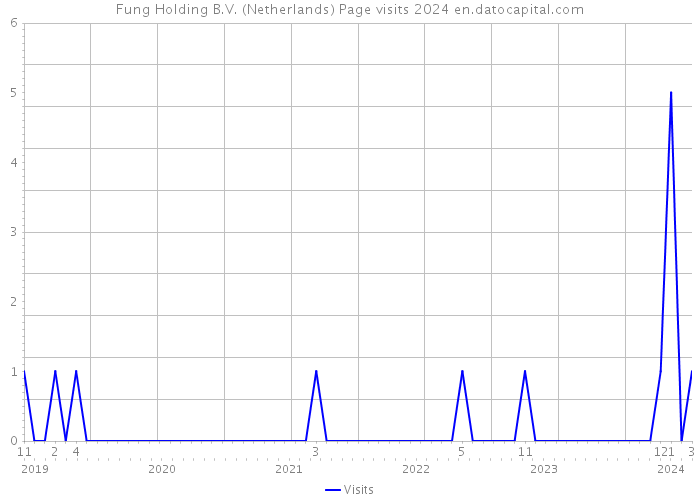 Fung Holding B.V. (Netherlands) Page visits 2024 