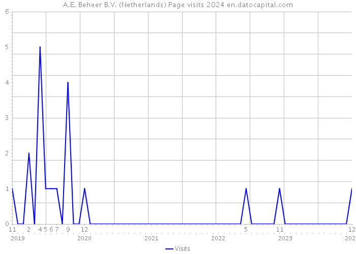 A.E. Beheer B.V. (Netherlands) Page visits 2024 