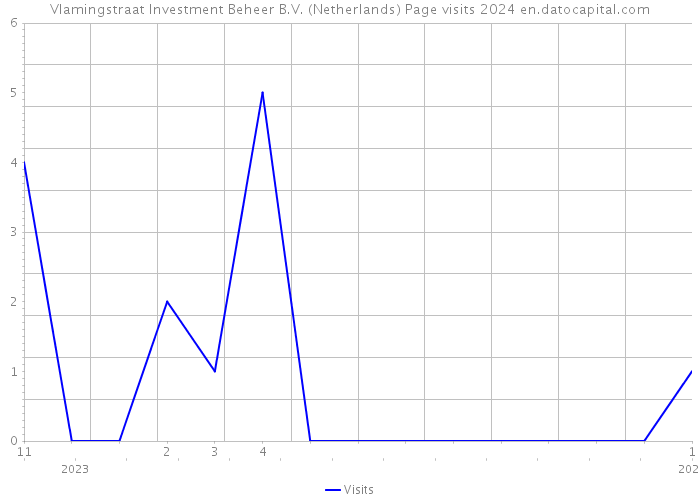 Vlamingstraat Investment Beheer B.V. (Netherlands) Page visits 2024 