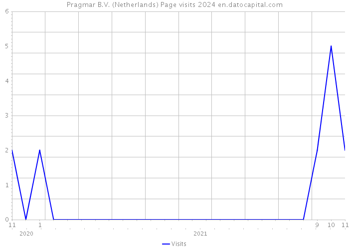 Pragmar B.V. (Netherlands) Page visits 2024 