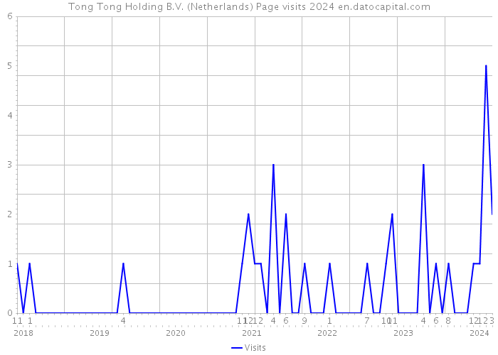 Tong Tong Holding B.V. (Netherlands) Page visits 2024 