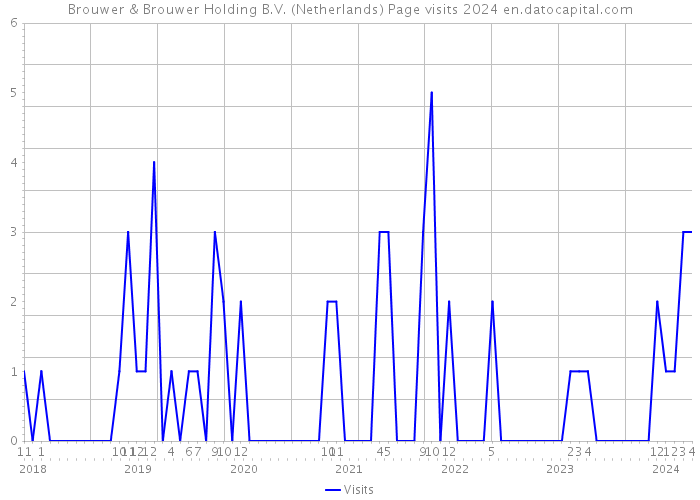 Brouwer & Brouwer Holding B.V. (Netherlands) Page visits 2024 